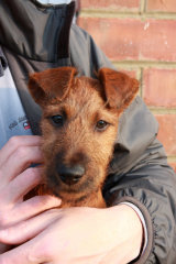 Big adventure en route