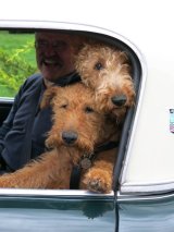 Paul with Riona and Co.