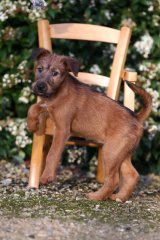 Caoimhe taking a break