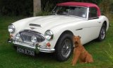 Riona & Austin Healey