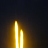 Desert Cactus at Night