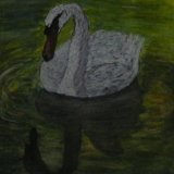 Swan on Water   (Acrylic)