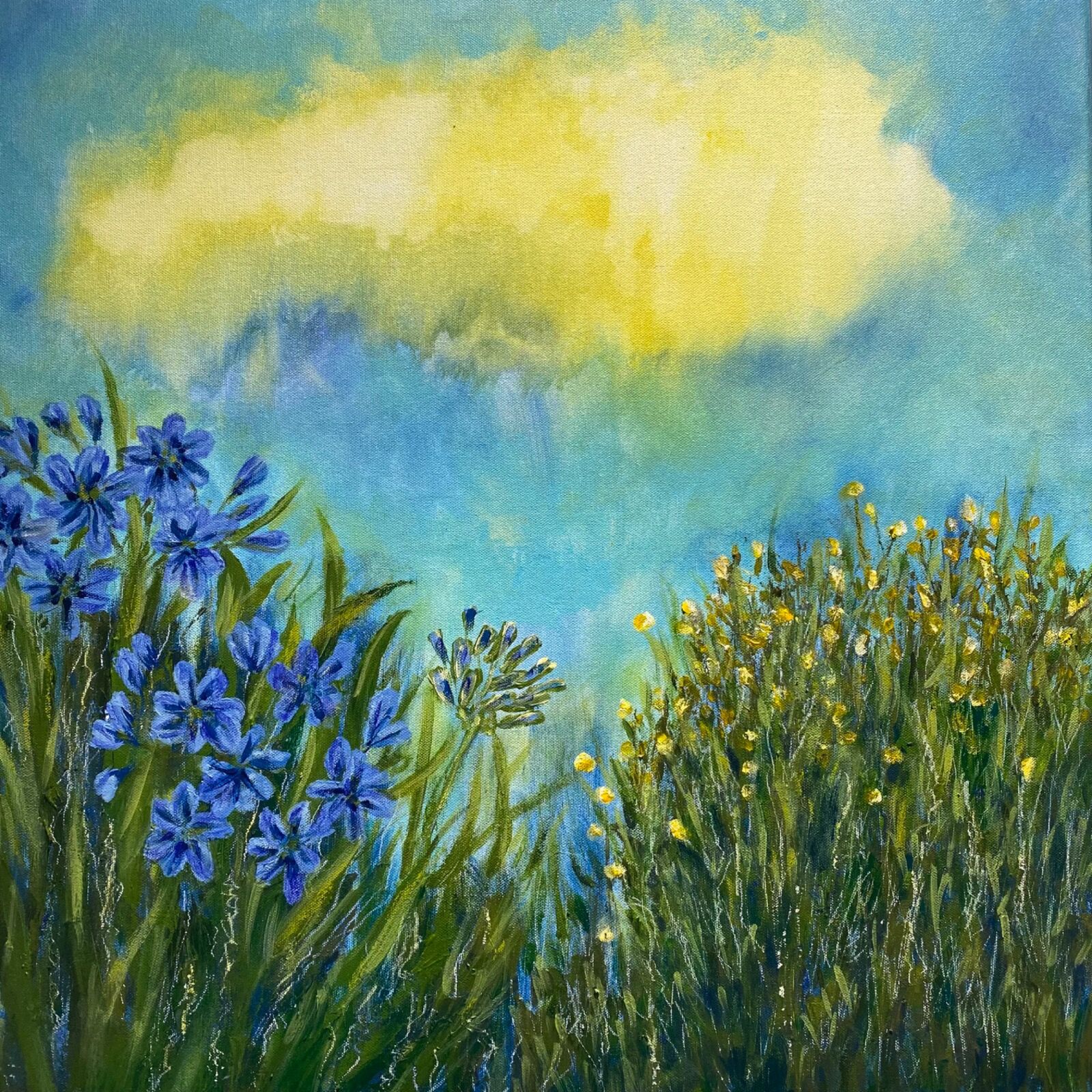 Got my head in the clouds