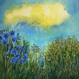 Got my head in the clouds