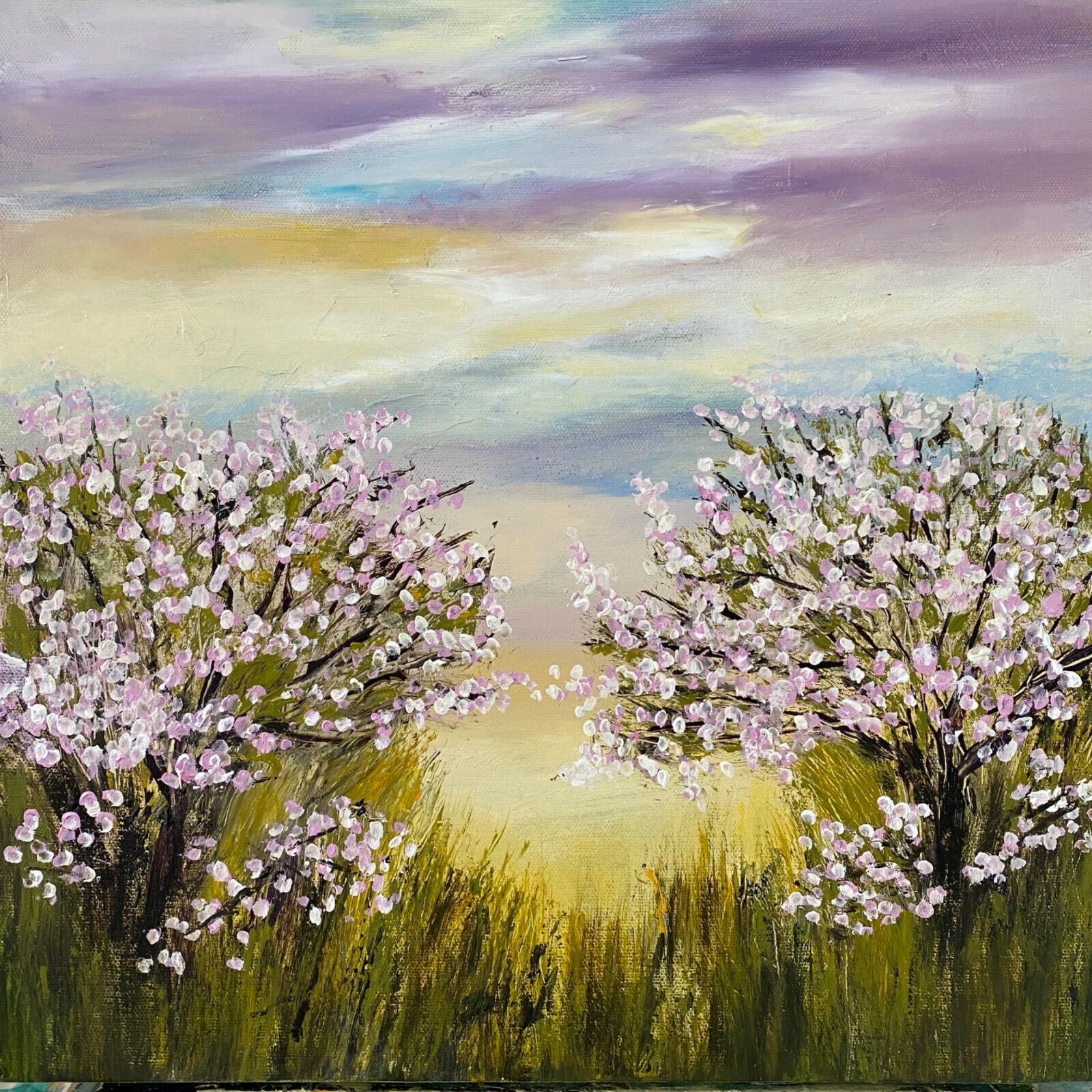 Bursting blossoms of spring