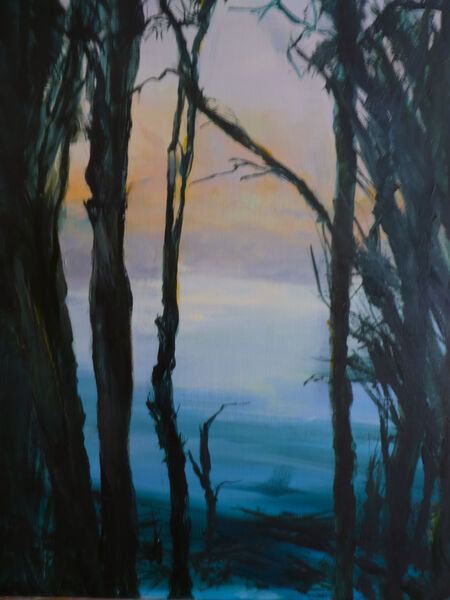 Wintry Dream (42cm x 52cm)