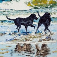 Playing in the shallows