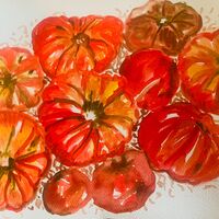 Les tomates 2