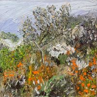 The little olive tree in winter