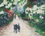 A walk through the rhododendruns