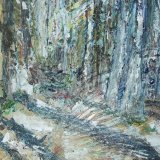 Light through the pines