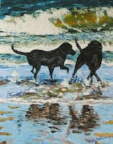 Playing in the shallows