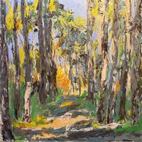 Sun filtering through the pines