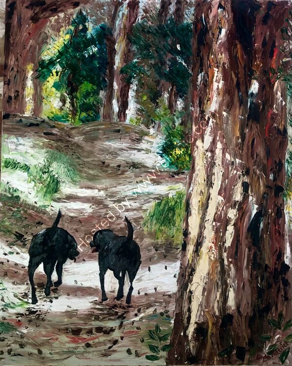 A walk through the pinewoods