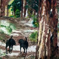 A walk through the pinewoods