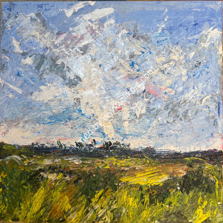 Marsh sky