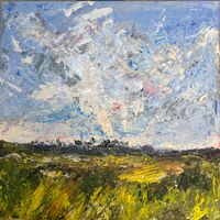 Marsh sky