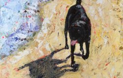 Trotting along the beach