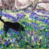 Smelling the the bluebells