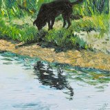 Paddy and his reflection