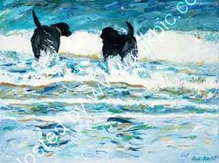 Two labs contemplate a swim