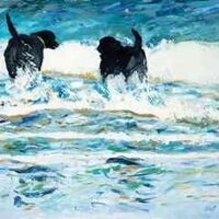 Two labs contemplate a swim