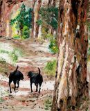 A walk through the pinewoods