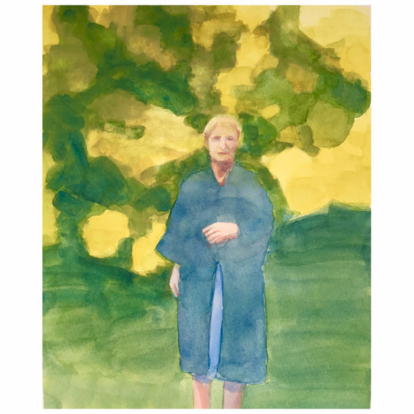 Yellow Rhododendrons