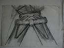 Preliminary drawing