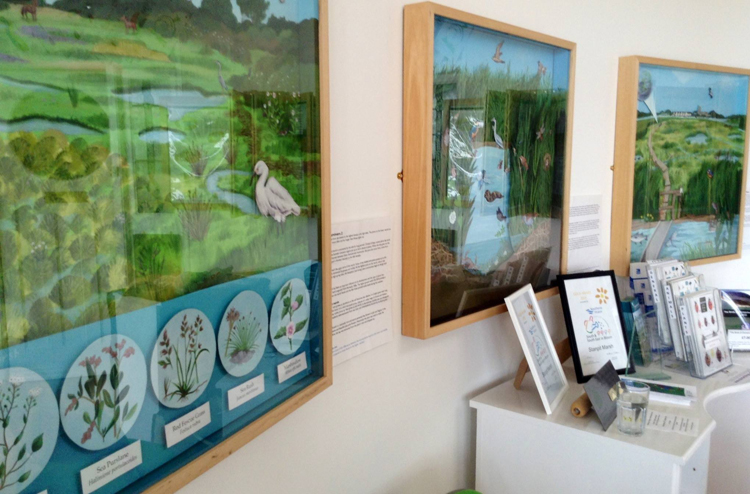 A range of eight large shadow-box information artworks for Stanpit Marsh Visitor Centre.