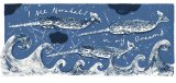 I see Narwhals...