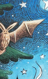 The Bat and the Moon