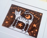 Sunny in the Dark Cat