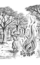 Illustration for Dragonory by Scholastic Publishing