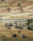 Blea Tarn