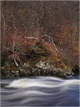 Fast flows the river (see video)