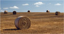 Hay Bales