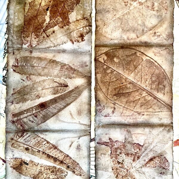 Eco-prints on watercolour paper