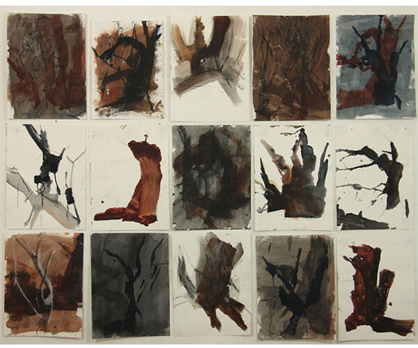 Notes on Trees (Bald Hill Track)