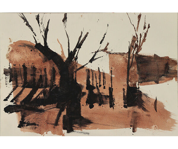 2017 Notes on Light 1 (afternoon)