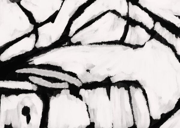 Book of Flight - Digital Print Detail