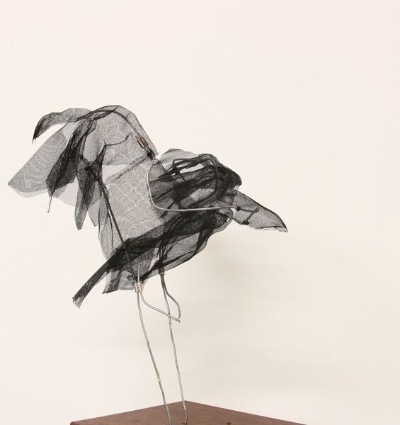 In Flight, Peacock Gallery, Auburn