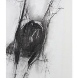 Becoming Raven - Caught in Flight