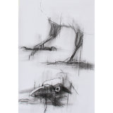 Becoming Raven - Head and Foot