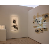 Becoming Raven - Installation view 1