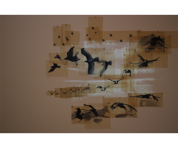 Becoming Raven - Installation view 3
