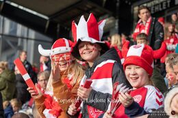 Happy fans in the stands in the World Cup qualifier Denmark vs Azerbaijan at Energi Viborg Arena in Viborg, Denmark