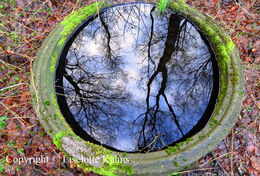Sky reflections in a concrete tube filled with water. Shot in Hobro, Denmark