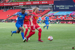 The Danish Women's Cupfinal, FC Nordsjælland v Fortuna Hjorring at "Aalborg Portland Park", Aalborg, Denmark
