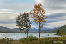 Valdresflyi/Jotunheimen, Norway
